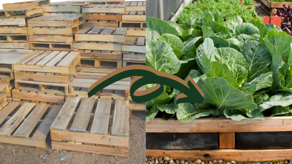 using_pallets_to_make_raised_garden_beds