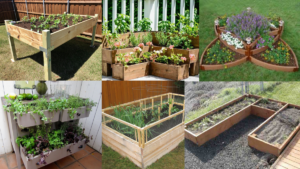 the_ultimate_guide_to_DIY_raised_garden_bed_plans