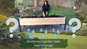 do_elevated_garden_beds_need_drainage
