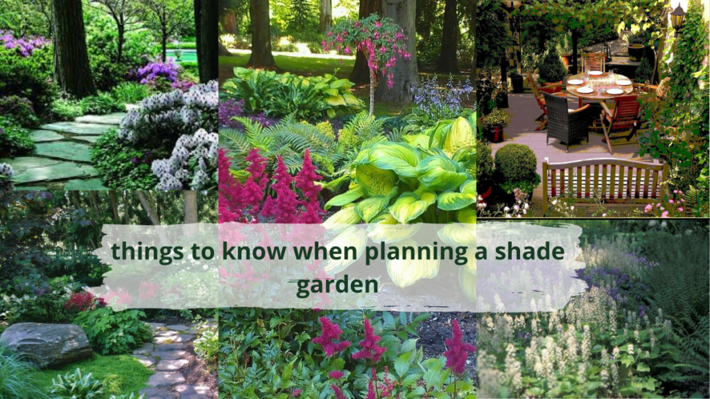 things_to_know_when_planning_a_shade_garden