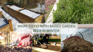 what_to_do_with_raised_garden_beds_in_winter