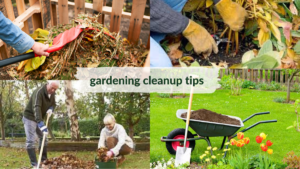 gardening_cleanup_tips
